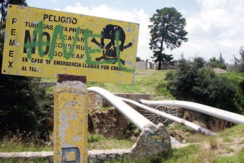 Pierden por ordeña 10 mdp al día en Puebla