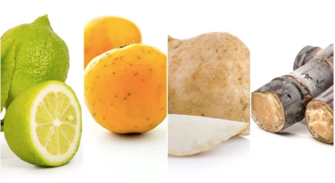 Conoce los beneficios de las frutas de la piñata