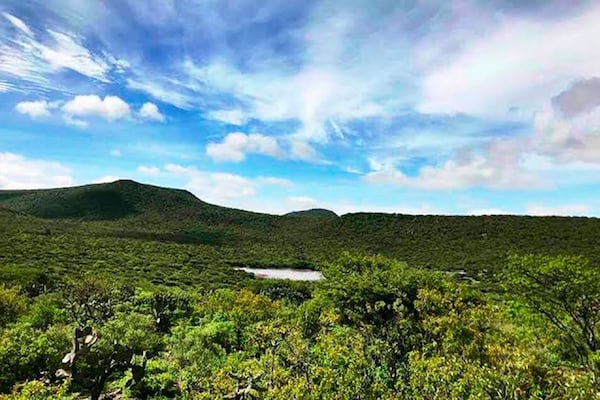 Garantizan resguardo ambiental de Peña Colorada