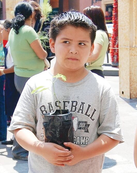 Enseñarán a niños a apreciar alimentos