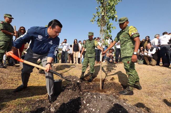 Combatirán el déficit de árboles en la capital