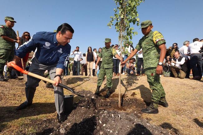 Combatirán el déficit de árboles en la capital