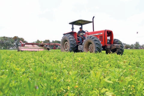 Campo, sin afectaciones por heladas
