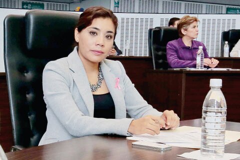 Llaman a no politizar elección de delegados