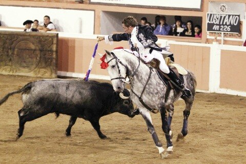 Patrimonio Cultural Inmaterial