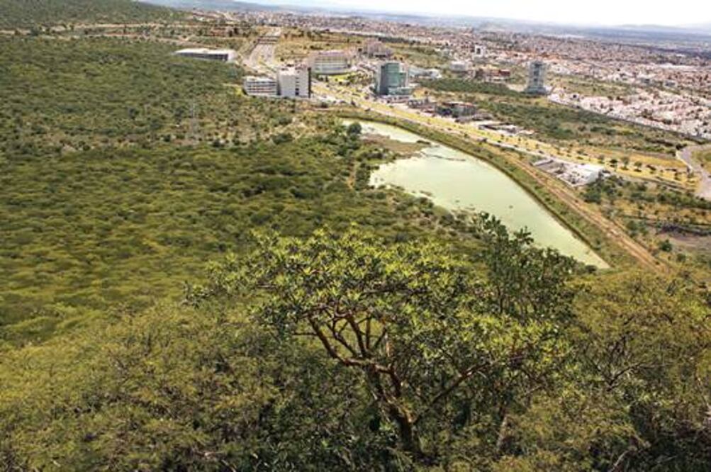 Exhortan a cuidar áreas ecológicas