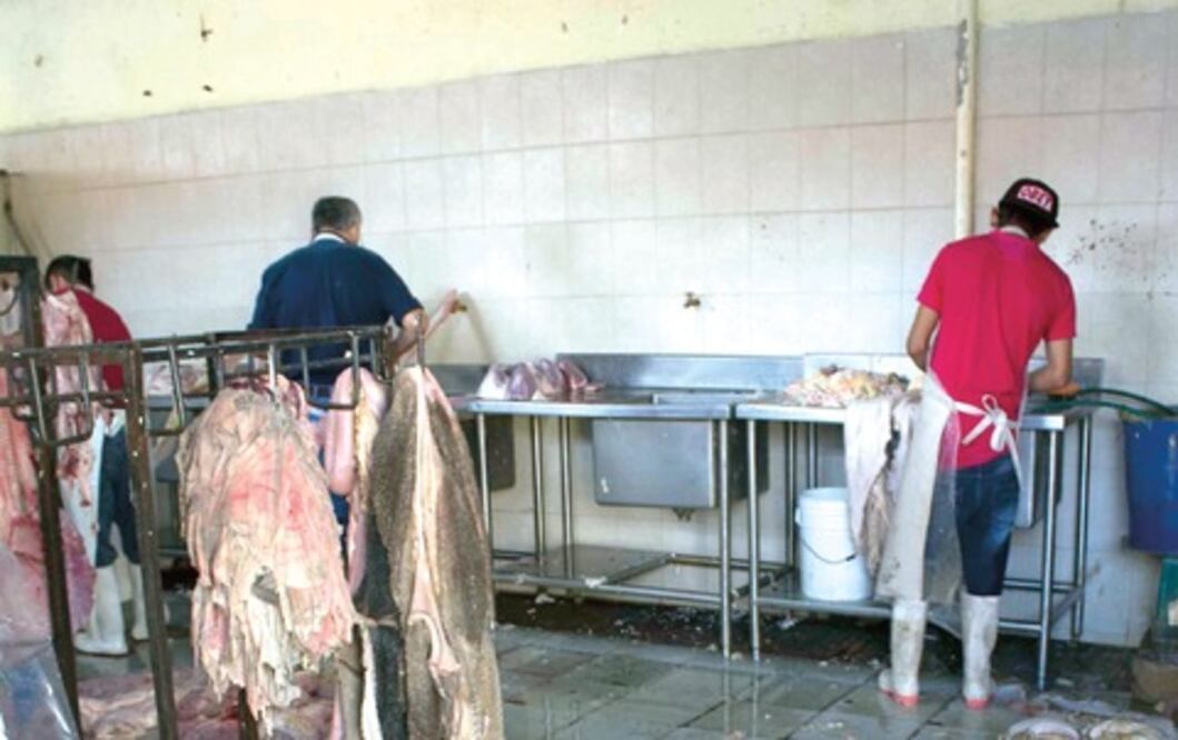 Piden sanción por reses con clembuterol