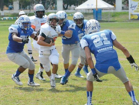 Caen por quinta vez Borregos queretanos