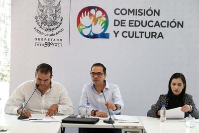 PAN niega respaldo a postura de Elsa Méndez