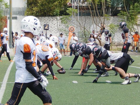 Cachorros, listos para su debut