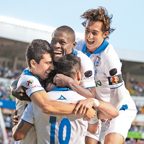 Los Gallos están por las nubes