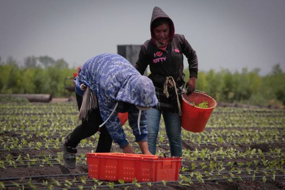 Foto: Archivo El Universal