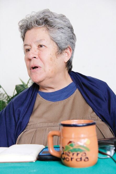 Ecologistas recibirán premio de PNUMA