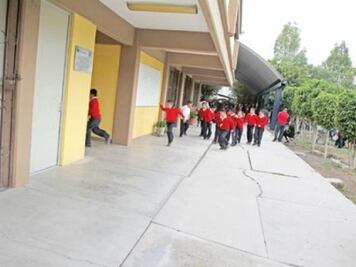 Maestros vuelven a la actividad