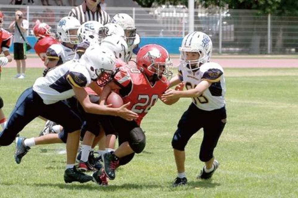 Cuatro de seis para los Gatos Salvajes UAQ