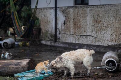 Estudio pluvial del río San Juan, casi listo 