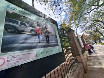Fotografías que visibilizan el derecho a la inclusión