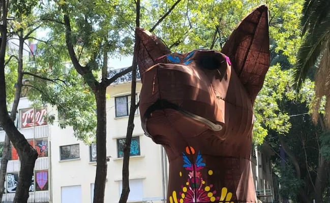 Instalan catrina, calaveras y xoloitzcuintle en CDMX; iluminación estará hasta el 8 de noviembre