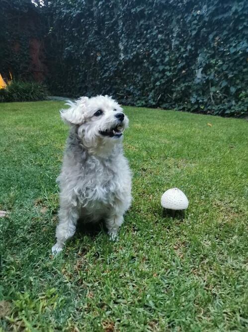 Foto: Ayari Velázquez