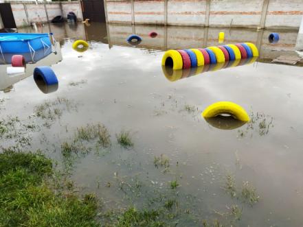 Refugio se inunda en Tequisquiapan; lomitos se quedaron entre el agua 