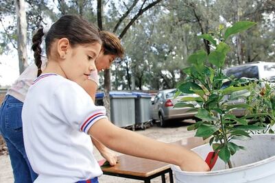 Inculcan el cuidado al medio ambiente