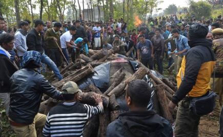 Dos elefantes mueren atropellados por un tren en India