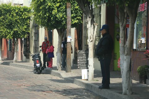 Rosales puede seguir en corporación