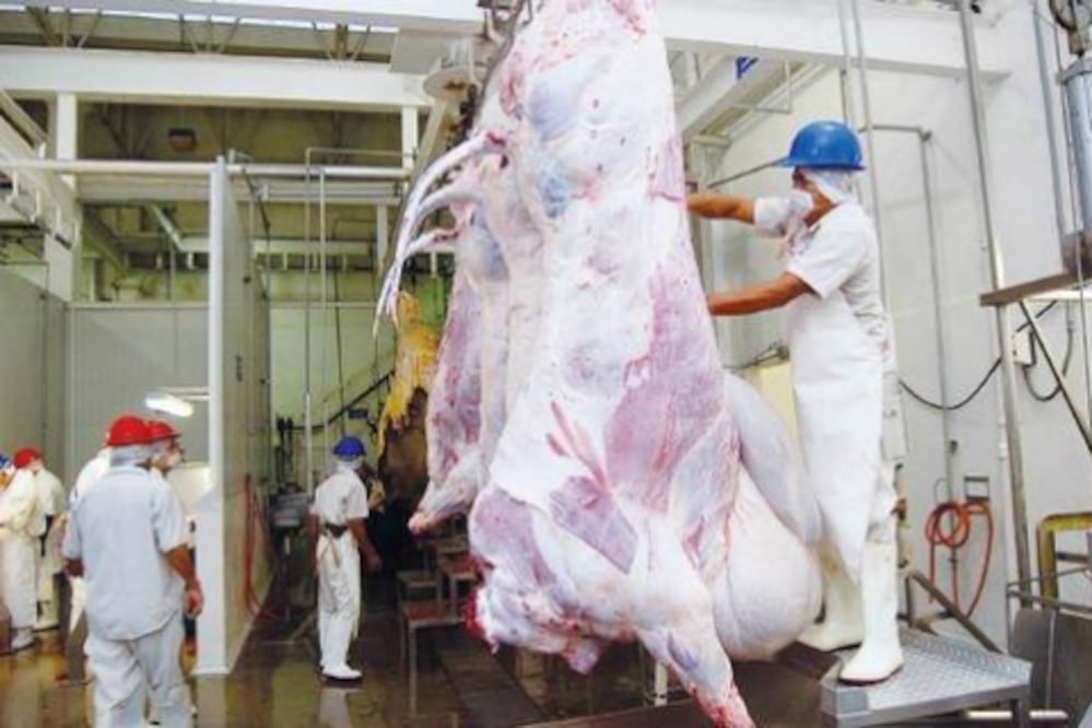 Proyectan nuevo rastro para SJR