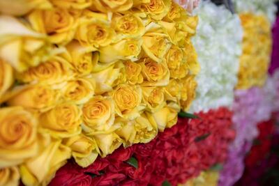 El Organal, la comunidad ubicada en Querétaro, cuyo modo de vivir depende de las rosas 