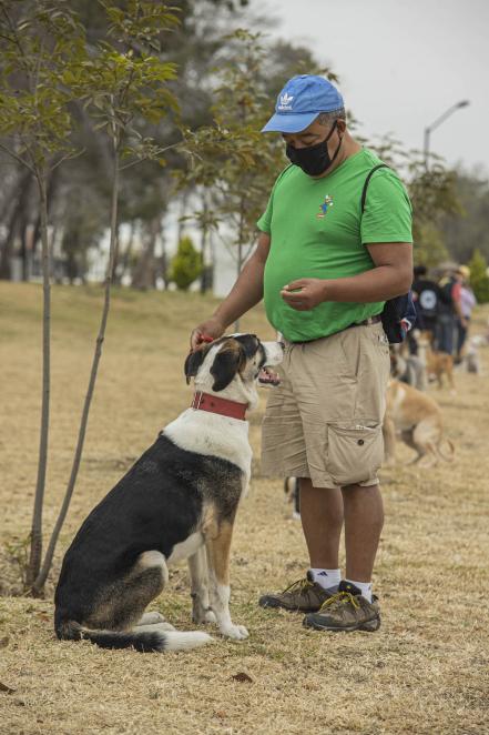 En Querétaro, enseñan adiestramiento con amor y comprensión del lenguaje de canino