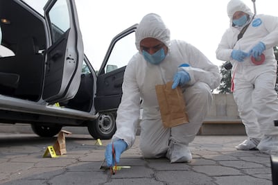 Peritos ”olfatean” a los criminales