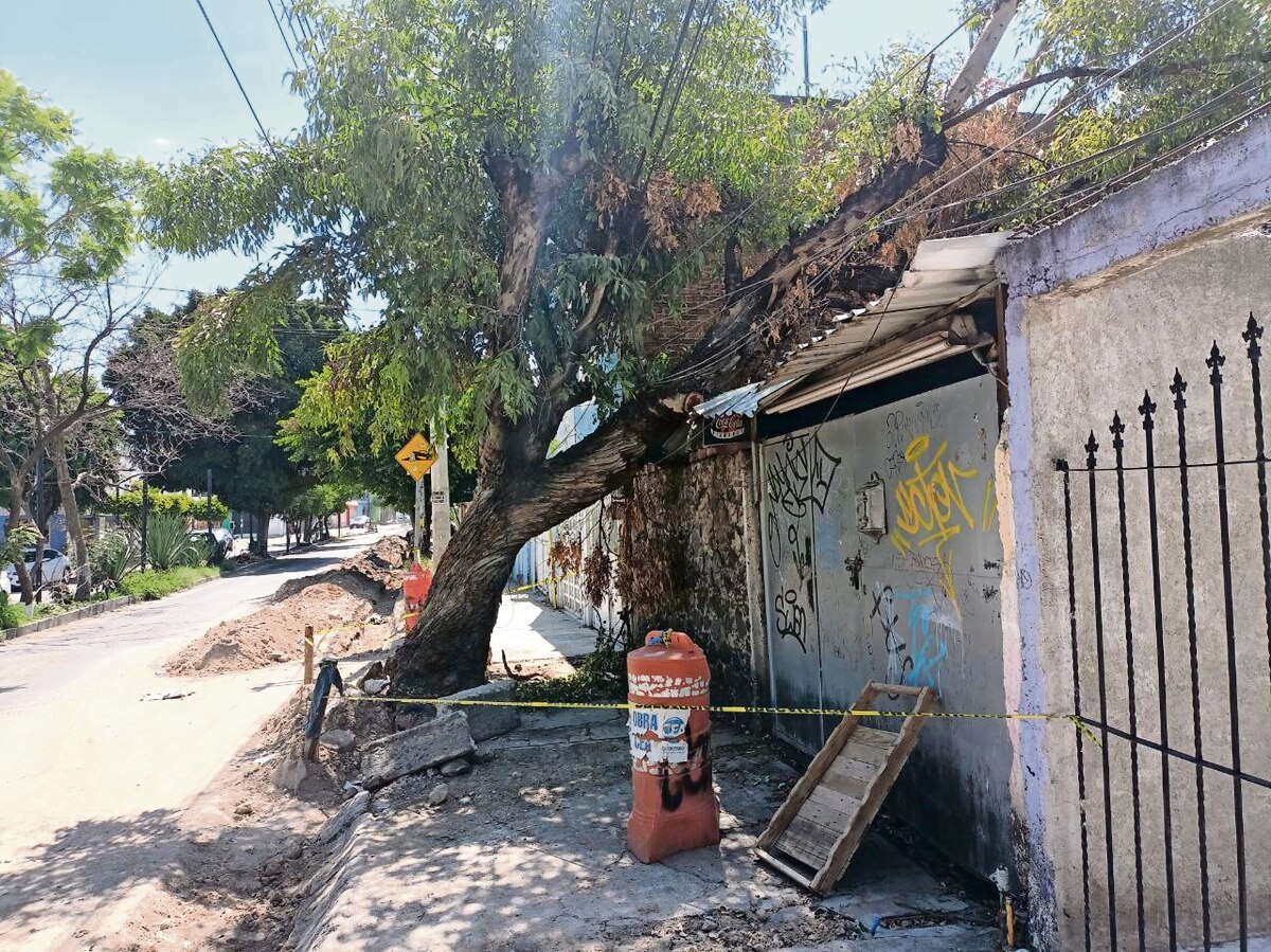 Obras de CEA ponen en peligro a vecinos en avenida Begonias