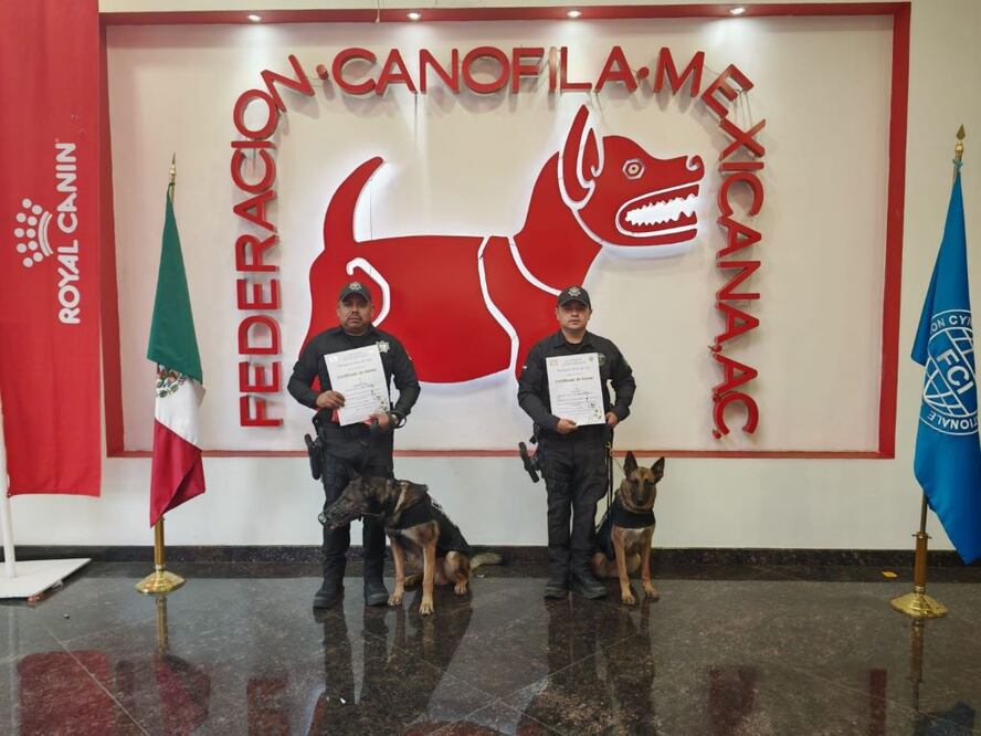 Los caninos queretanos “Daysi” y “Ares” fueron galardonados como “Mejor perro del año en trabajo y servicio 2024” por la Federación Canófila Mexicana. FOTO. ESPECIAL