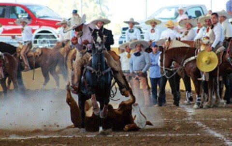 El Pitayo, campeón del Torneo FENAPO
