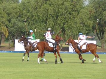 La Tricopa llega a El Marqués