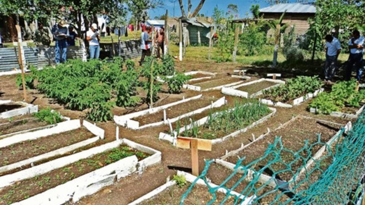 Invertirá Sedea 20 mdp en programa de huertos