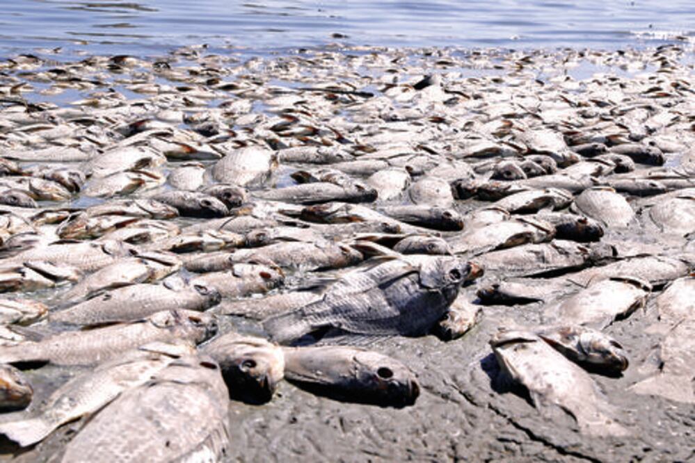 Analizan agua de El Nabo para descartar contaminación