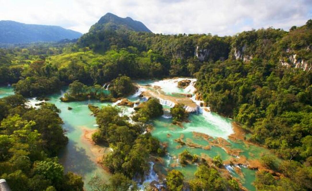 La Selva Lacandona es la zona con mayor diversidad animal en nuestro país. (Foto: Sectur Chiapas)