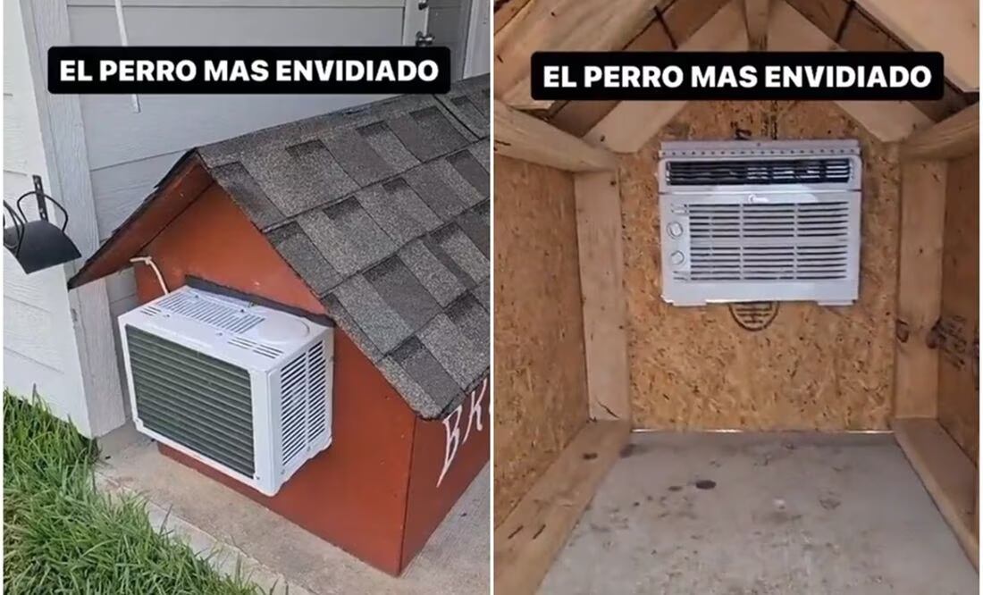 Casa de lomito. Foto: Capturas de video @ShowmundialShow