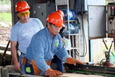 Foráneos 35% de empleados