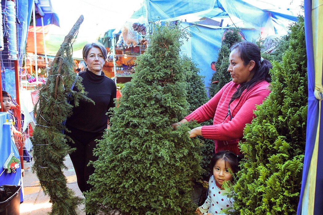 Inician revisión de árboles de navidad