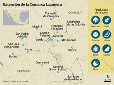 Pesticidas, el veneno que se queda hasta 5 décadas
