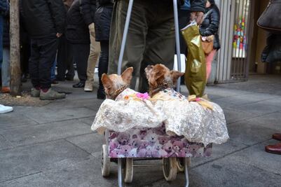 San Antón, un festejo con conciencia