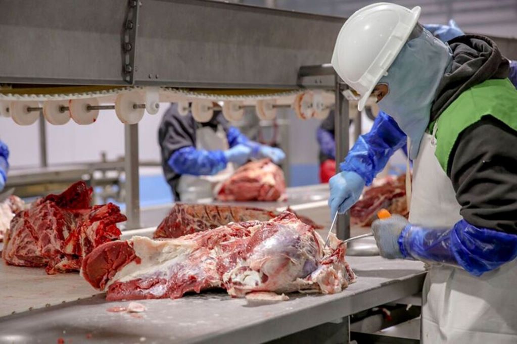 Foto: Archivo El Universal