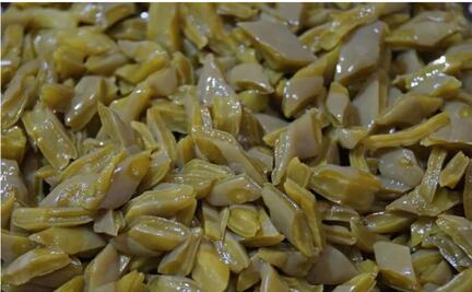 Beneficios de incluir nopales en el desayuno