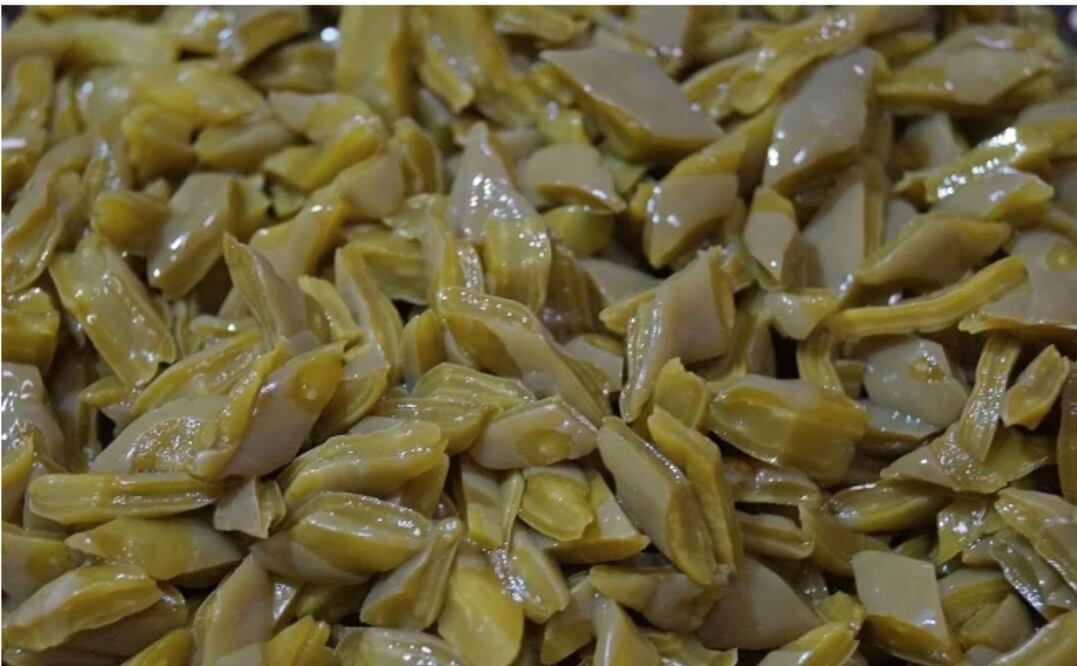 Los nopales aportan fibra al cuerpo la cual puede bajar los niveles de azúcar/ Foto: Pixabay