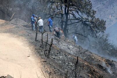 Incendios afectan 749 hectáreas en Querétaro, señala la Conafor