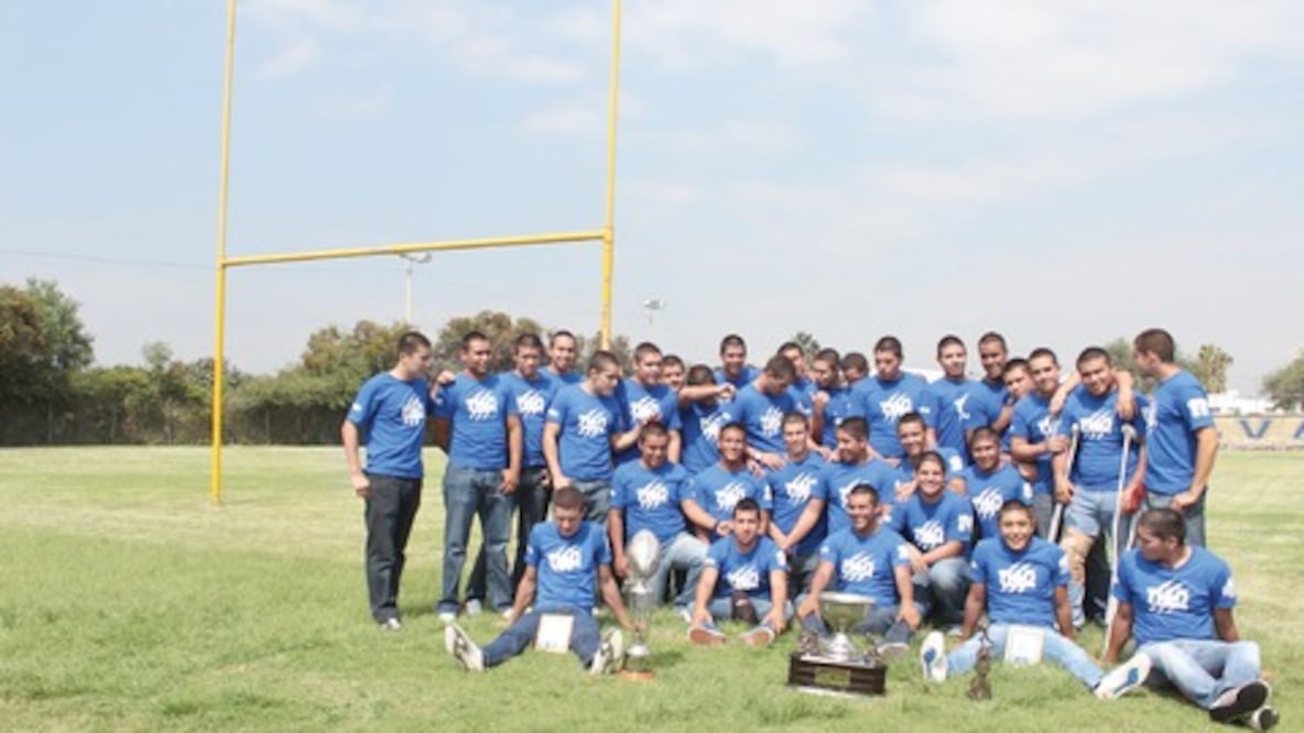 Siete premios a Gatos Salvajes
