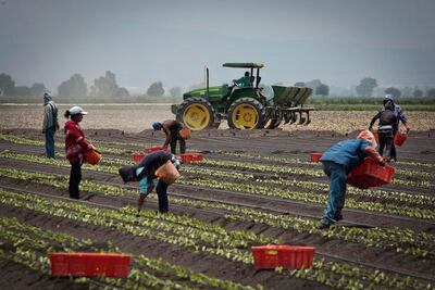 Fumigarán con drones en Pedro Escobedo