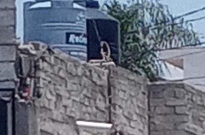 Perrita fue colgada de la azotea, en un domicilio de la capital de Querétaro